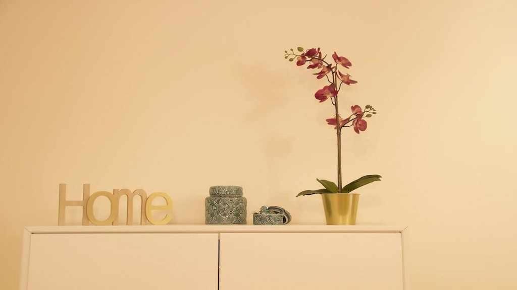 Apartamento Con Jardin Y Piscina B Пуерто де ла Крус Екстериор снимка
